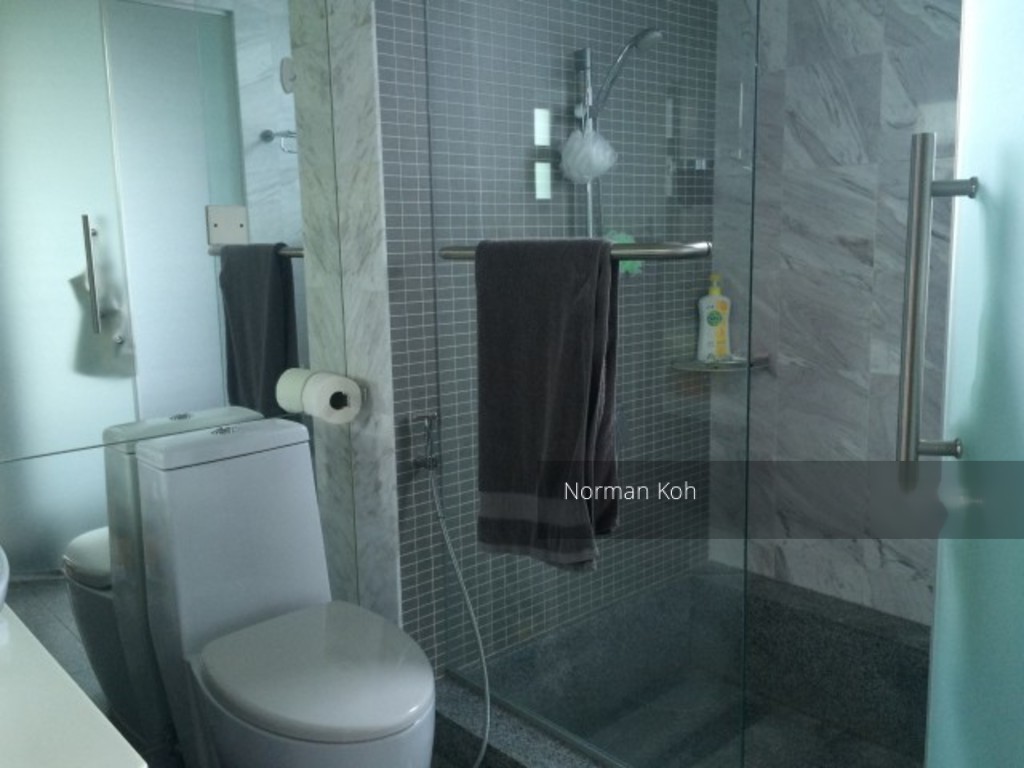 Water Place (D15), Condominium #199394012